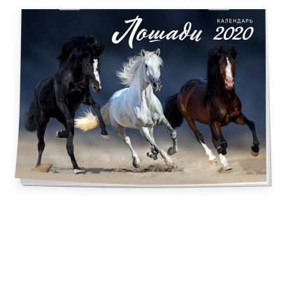 Лошади. Календарь настенный на 2020 год (315х440 мм) - фото 1
