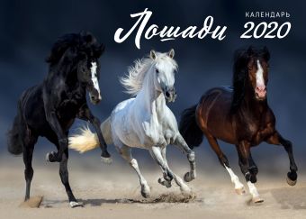 Лошади. Календарь настенный на 2020 год (315х440 мм) лошади календарь настенный на 2020 год 315х440 мм