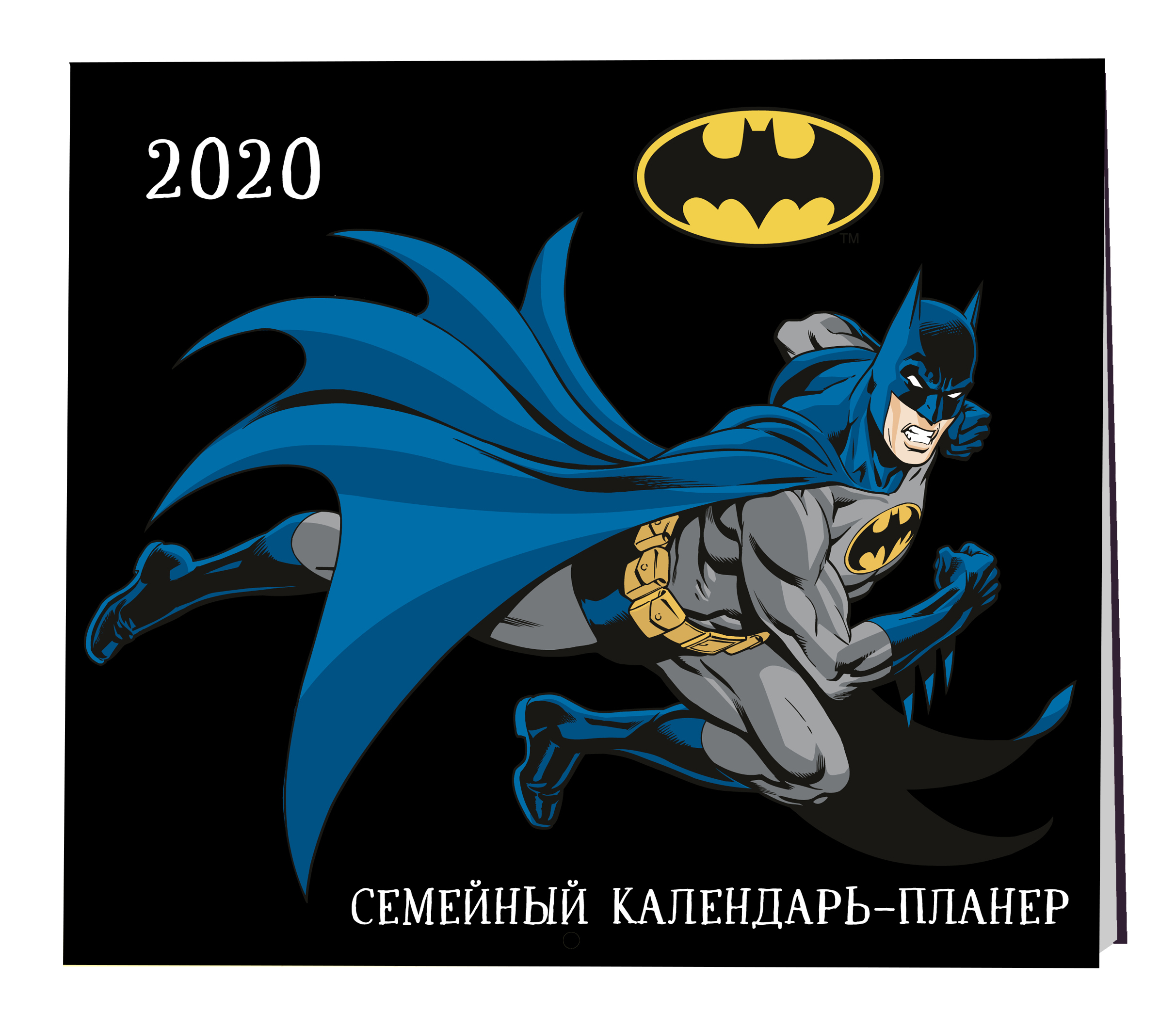 Евгения Гапчинская Бэтмен. Семейный календарь-планер на 2020 год (245х280 мм)