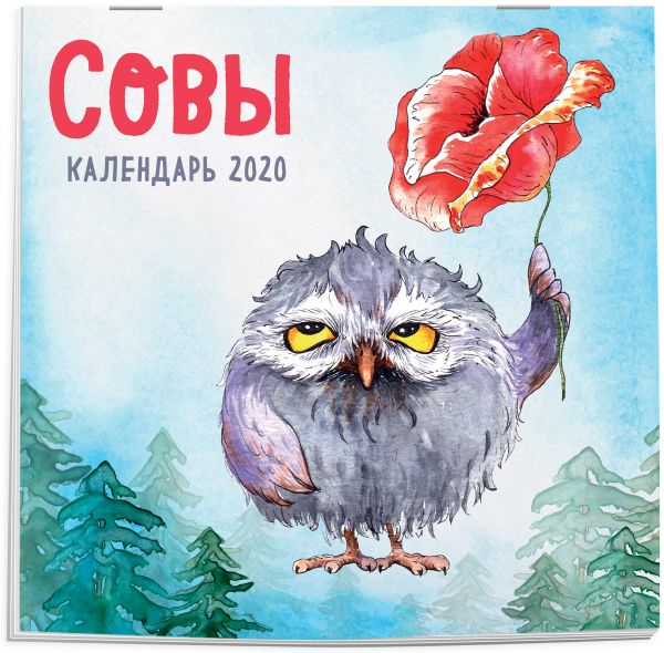 

Совы. Календарь настенный на 2020 год (300х300 мм)