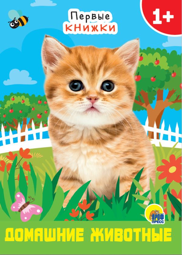 Цк Мини. Домашние Животные