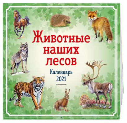 Детский календарь на 2021 год «Животные наших лесов» - фото 1