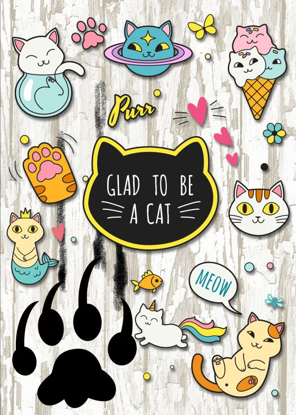 

Glad to be a cat. Тетрадь школьная в мягкой обложке, 48 л.