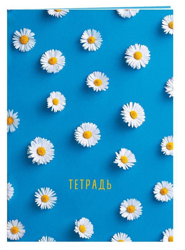 

Тетрадь общая «Ромашки», А5, 48 листов