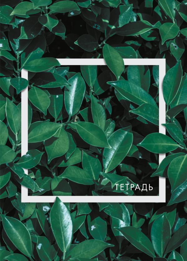 

Чайное дерево. Тетрадь общая, А5, 48л., накидка 4 п. полноцвет, гл. пленка