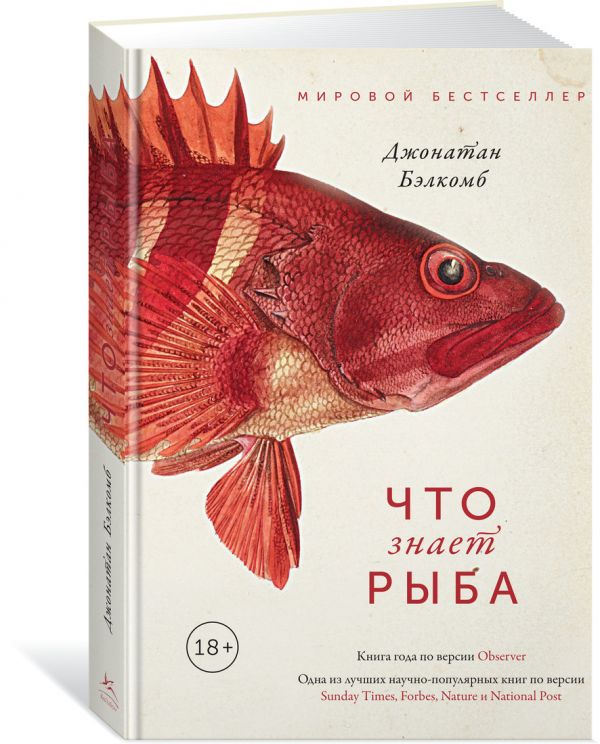 Что знает рыба. Внутренний мир наших подводных собратьев : Джонатан Бэлкомб