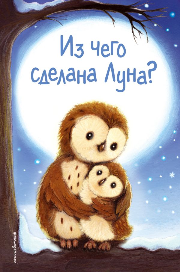 Из чего сделана Луна? (выпуск 7). Вебб Холли