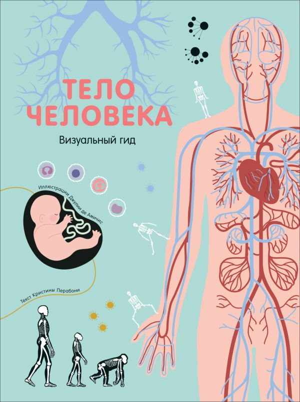 Тело человека. Визуальный гид : К. Перабони