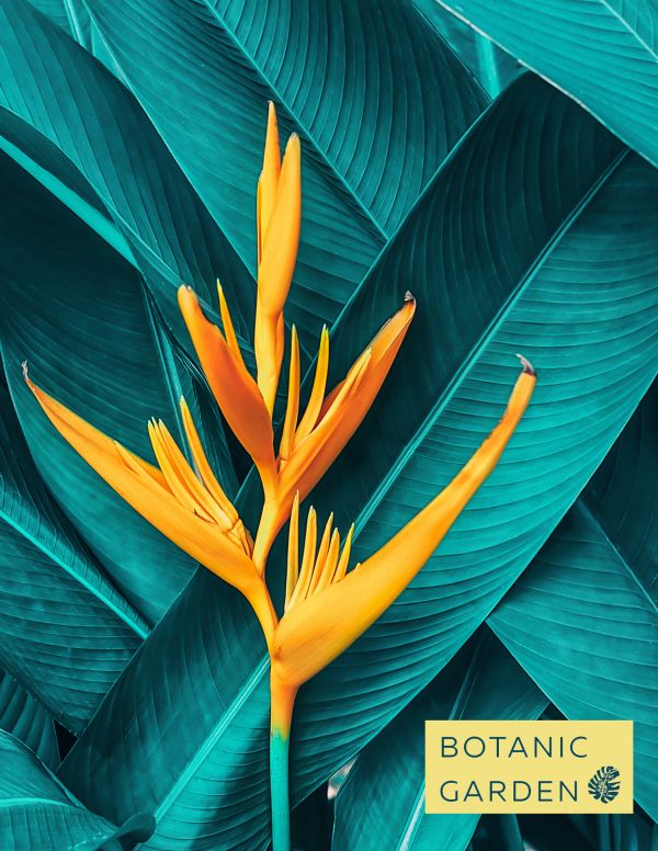 Тетрадь общая на кольцах «Тропический цветок», А5, 100 листов