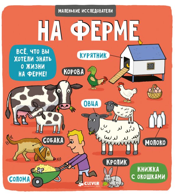 

ВВИ. Маленькие исследователи. На ферме
