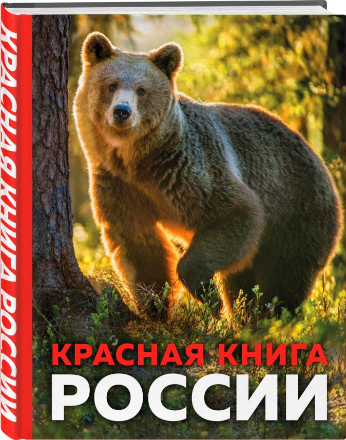 Книга красная книга крыма фото