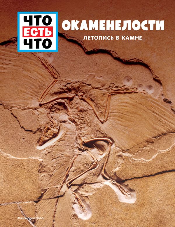 Zakazat.ru: ОКАМЕНЕЛОСТИ. Летопись в камне. Баур Манфред