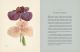 Книга Ботаника для садоводов • Ходж Дж. – купить книгу по низкой цене ...