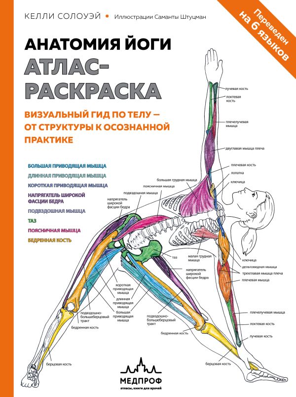 Анатомия йоги: атлас-раскраска. Визуальный гид по телу — от структуры к осознанной практике. Солоуэй Келли