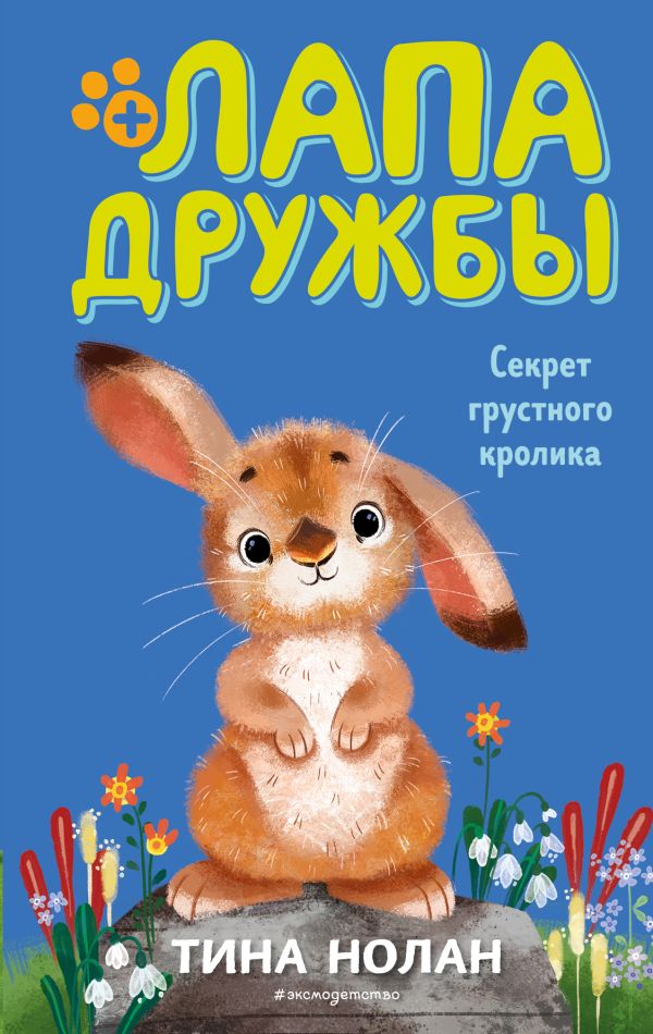 Zakazat.ru: Секрет грустного кролика. Нолан Тина