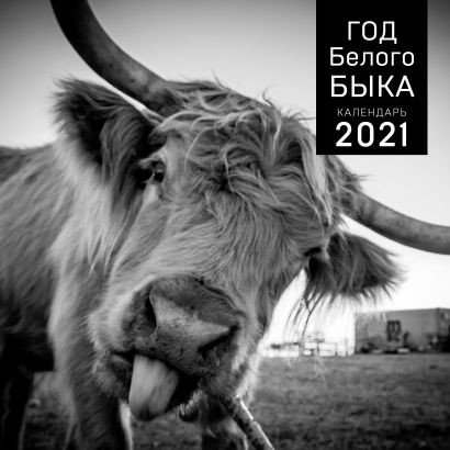 Год белого быка. Календарь настенный на 2021 год (300x300 мм) - фото 1