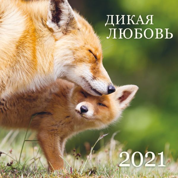 Настенный календарь на 2021 год «Дикая любовь», 30х30 см