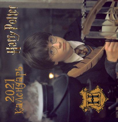 Настенный календарь на 2021 год «Гарри Поттер», 17х17 см - фото 1