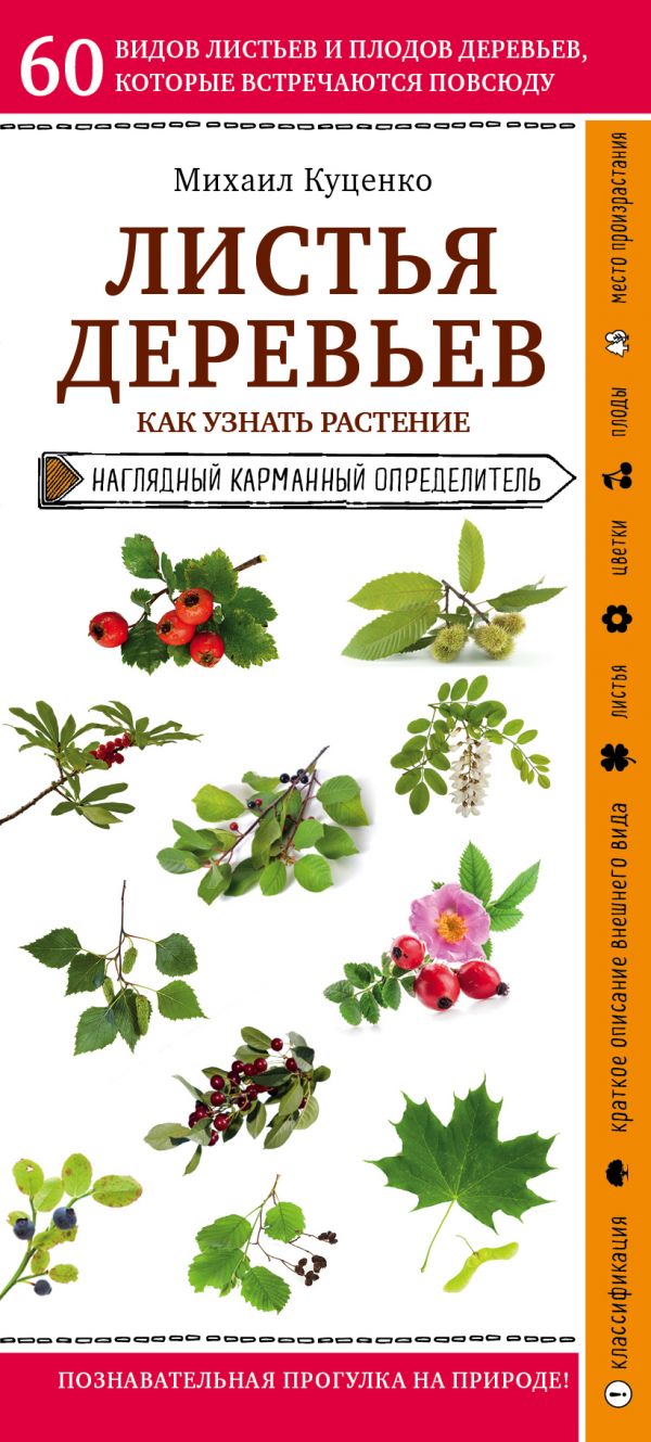 Zakazat.ru: Листья деревьев. Как узнать растение. Куценко Михаил Евгеньевич