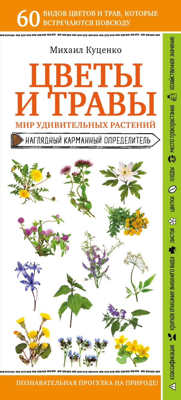 Цветы и травы. Мир удивительных растений. Куценко Михаил Евгеньевич