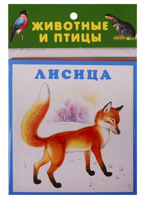 Животные И Птицы. Без Автора