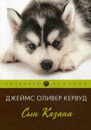 

Сын Казана: роман