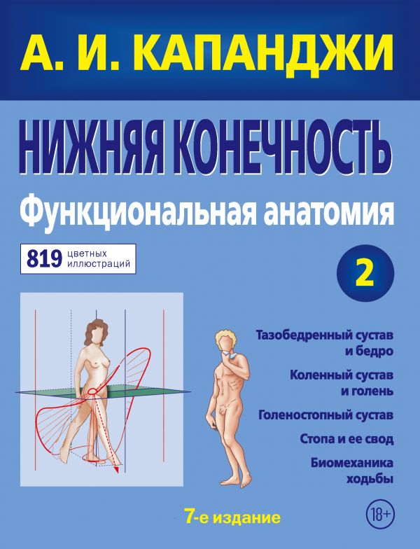 Нижняя конечность: Функциональная анатомия (обновленное издание). Капанджи Адальберт Ибрагим