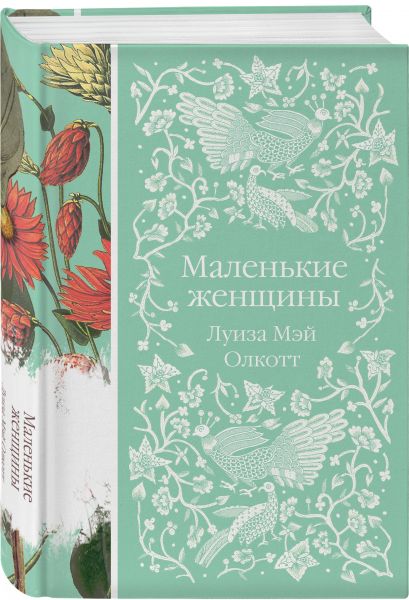 Картинка книги маленькие женщины