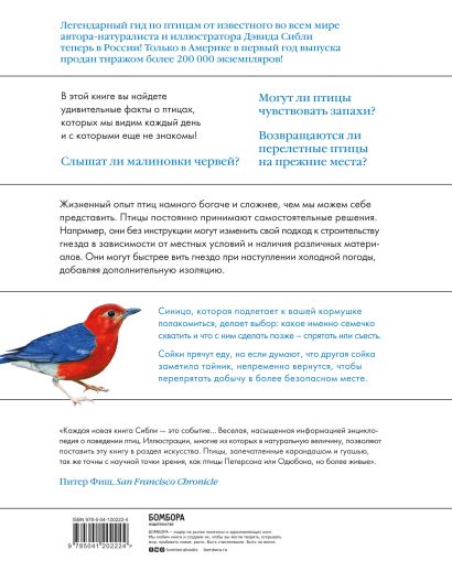 Два веселых фифи: орнитолог ПсковГУ развеяла мифы о птицах