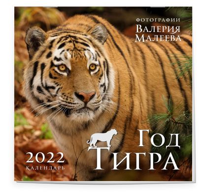 Год тигра. Фотографии Валерия Малеева. Календарь настенный на 2022 год (300х300 мм) - фото 1