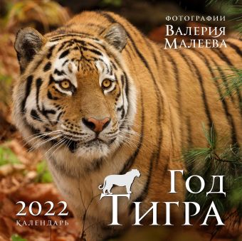 Малеев Валерий Геннадьевич Год тигра. Фотографии Валерия Малеева. Календарь настенный на 2022 год (300х300 мм)