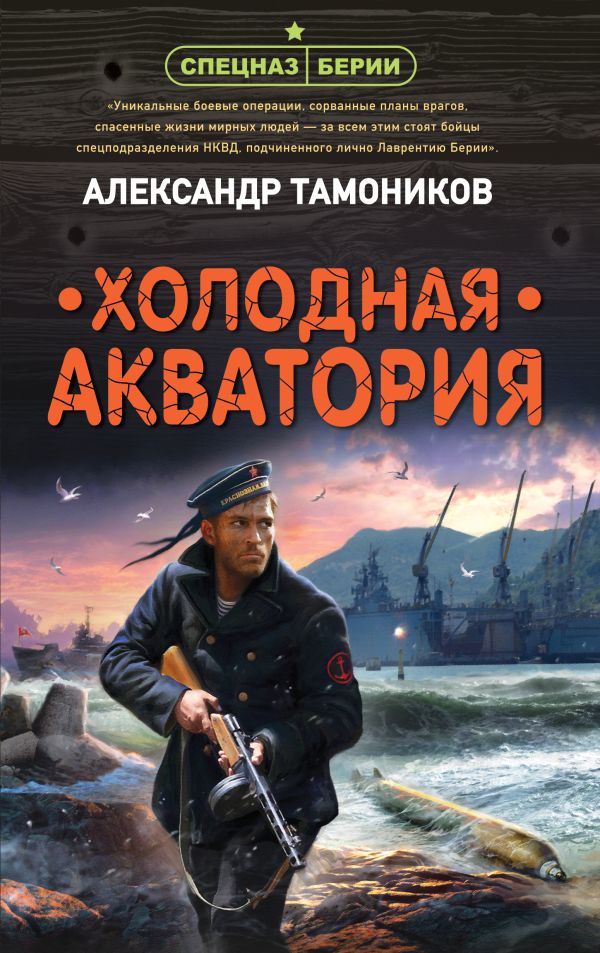 Тамоников Александр Александрович - Холодная акватория