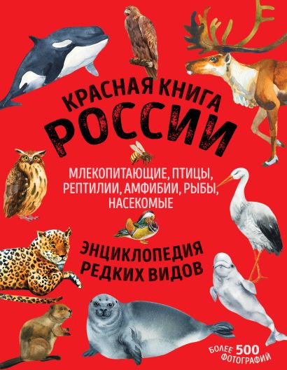 Красная книга России. Млекопитающие, птицы, рептилии, амфибии, рыбы, насекомые - фото 1