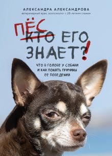 Купить Пес его знает! Что в голове у собаки, и как понять причины ее поведения — Фото