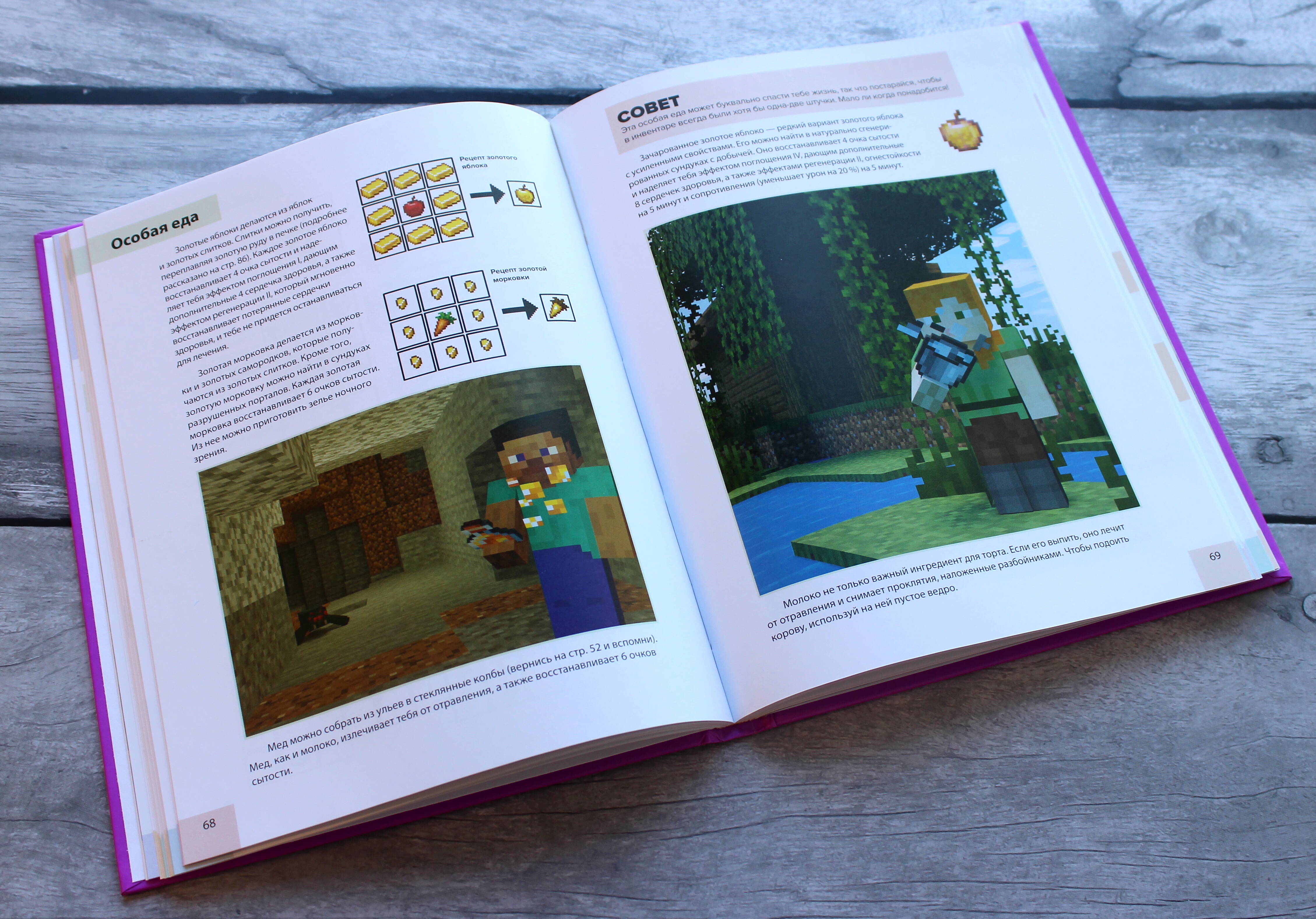 Полное руководство по режиму выживания в Minecraft (Липскомб Дэн). ISBN:  978-5-04-160764-7 ➠ купите эту книгу с доставкой в интернет-магазине  «Буквоед»