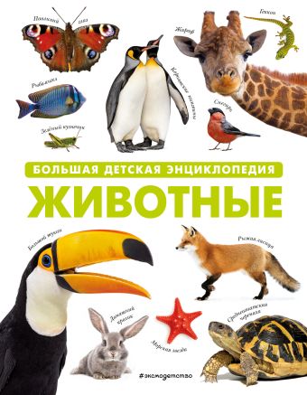 Животные. Большая детская энциклопедия животные большая энциклопедия