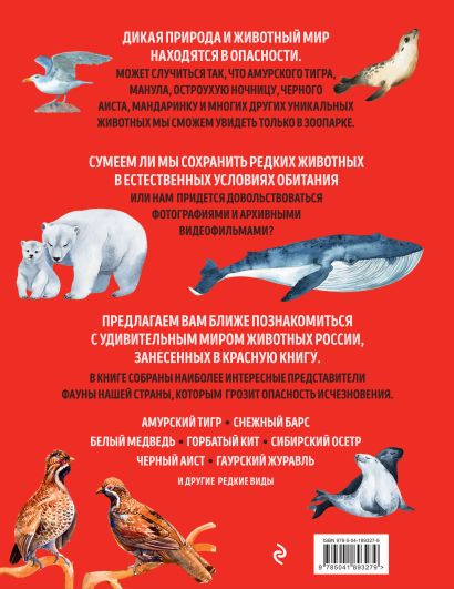 Красная книга России: все о жизни дикой природы (Чижик) - фото 1