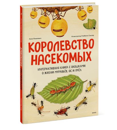 Королевство насекомых. Интерактивная книга с окошками о жизни муравьёв, ос и пчёл - фото 1
