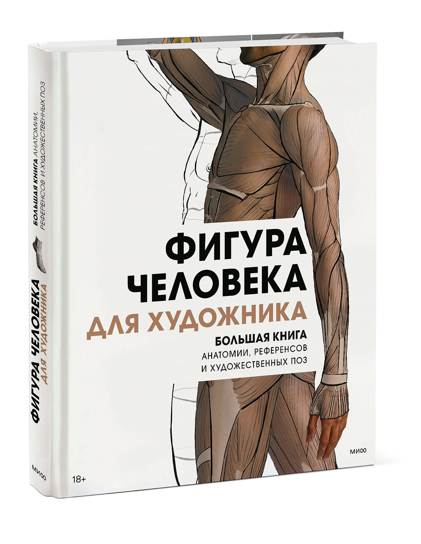 Фигура человека для художника. Большая книга анатомии, референсов и  художественных поз (3dtotal). ISBN: 978-5-00195-551-1 ➠ купите эту книгу с  доставкой в интернет-магазине «Буквоед»