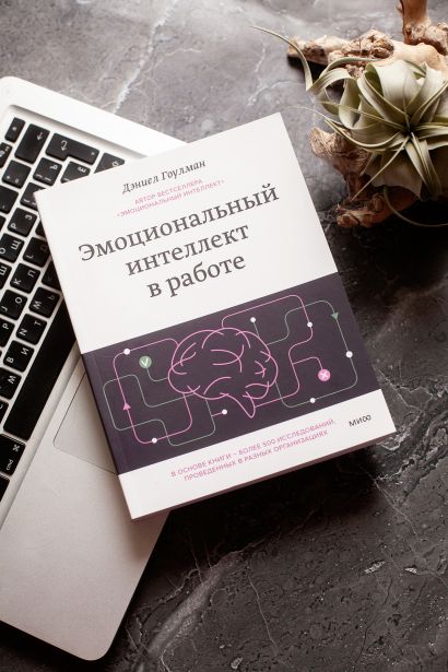 Читать книгу эмоциональный интеллект дэниела