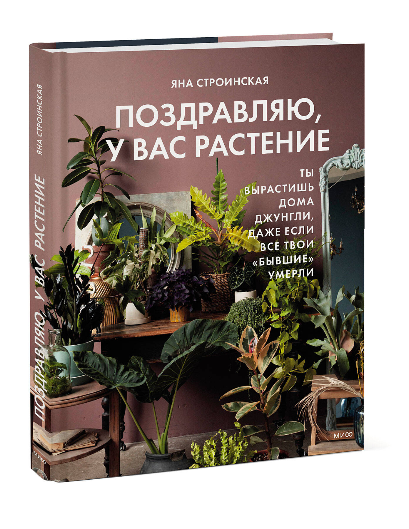 Поздравляю, у вас растение. Ты вырастишь дома джунгли, даже если все твои  